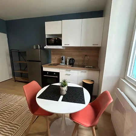 Cote Cour - 9 Min Des Sanctuaires - Moderne & Equipe - Jusqu'A 4 Couchages Appartement Lourdes