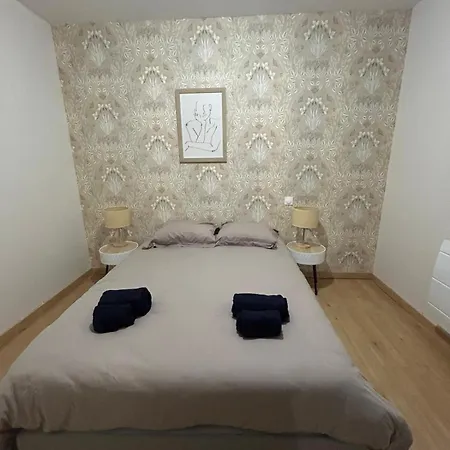 Cote Cour - 9 Min Des Sanctuaires - Moderne & Equipe - Jusqu'A 4 Couchages Апартаменты Лурд