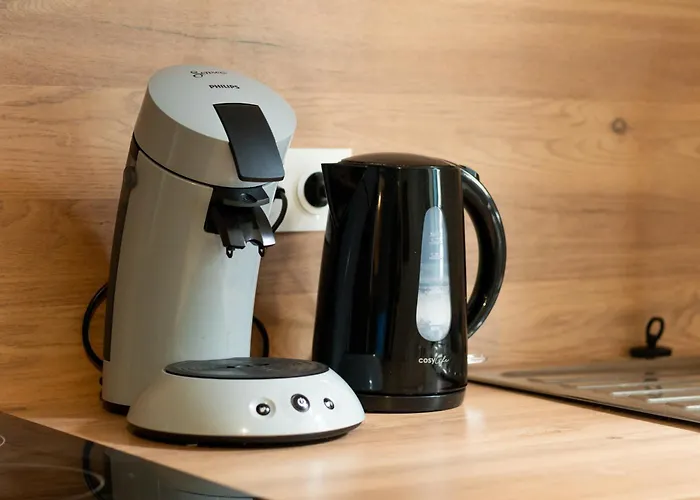 Cote Cour - 9 Min Des Sanctuaires - Moderne & Equipe - Jusqu'a 4 Couchages Lourdes