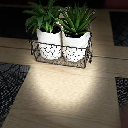 Côté Cour - Lourdes *